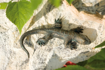 Bronzefigur Eidechse L10cm | Bronze Skulptur Rottenecker