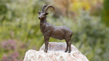 Bronzefigur Steinbock klein auf Rosario-Findling 82cm Bronze Skulptur Rottenecker
