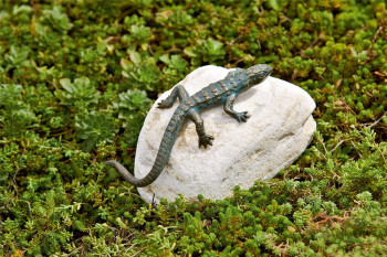 Bronzefigur Eidechse gebogen L17cm Bronze Gartenfigur Rottenecker