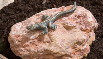 Bronzefigur Eidechse L14cm Gartenfigur Bronze Skulptur Rottenecker