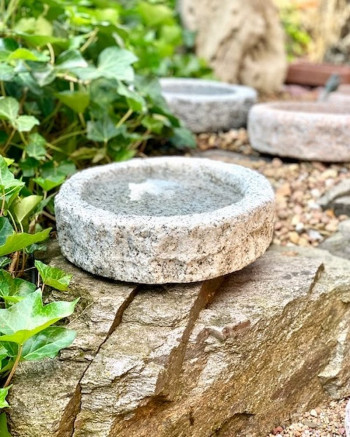 Vogeltränke Granit grau rund 30cm Naturform Vogelbad für Garten Insektentränke