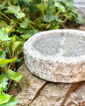 Vogeltränke Granit grau rund 30cm Naturform Vogelbad für Garten Insektentränke