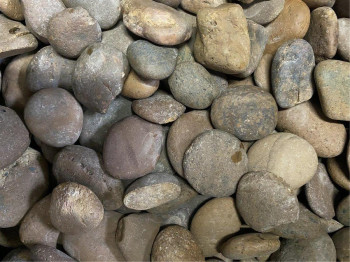 10 kg (2,99 €/kg) Panther Pebbles Ziersteine Naturrund flach 2-6 cm Kiesel