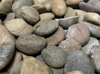 10 kg (2,99 €/kg) Panther Pebbles Ziersteine Naturrund flach 2-6 cm Kiesel