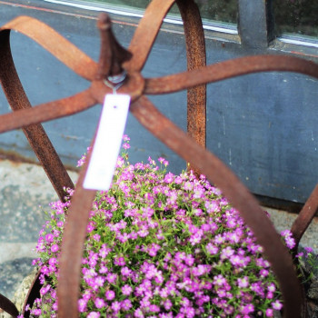 Krone Edelrost 40cm Flacheisen Metallkrone Dekokrone Pflanzkrone Shabby Cottage & Vintage