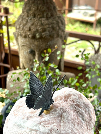 Bronzefigur Schmetterling 5cm auf Rosario Findling Rottenecker Bronze Skulptur