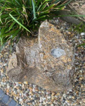 VERKAUFT! Quellstein Muschelkalk 50cm Naturstein Gartenbrunnen Springbrunnen Komplettset