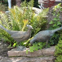 Bronzefigur Fasan Henne + Hahn L69cm Bronze Skulptur Gartenfigur Rottenecker