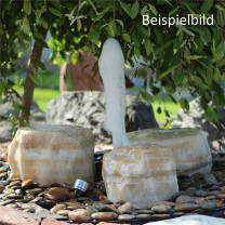 Springbrunnen Technik-Set 1 Oase Schaumsprudler Düse mit Pumpe und Einbaubecken Springbrunnen Technik-Set 1 Oase Schaumsprudler Düse mit Pumpe und Einbaubecken