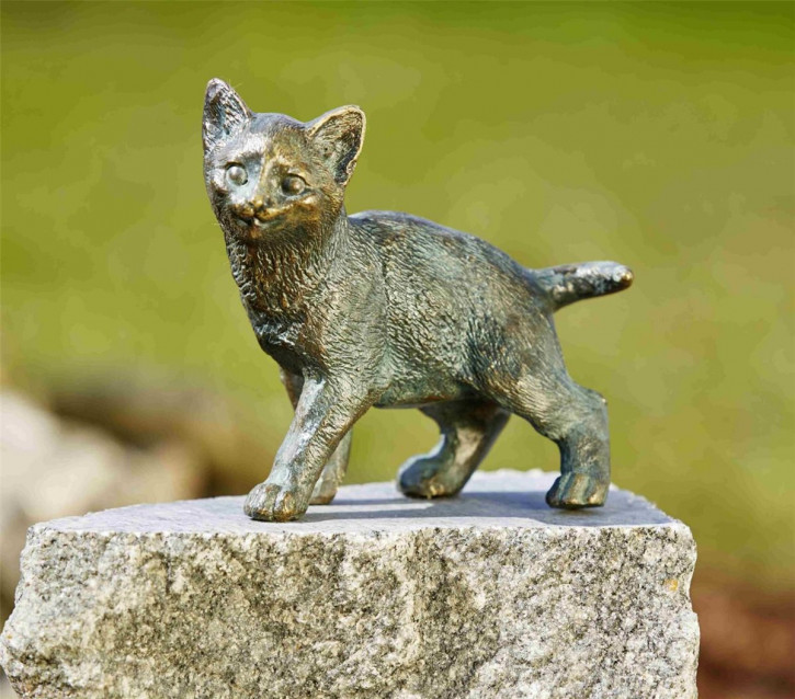 Bronzefigur Junge Katze Lilly 16cm Bronze Skulptur Rottenecker