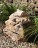 Quellstein Onyx Marmor 50cm Gartenbrunnen Springbrunnen Komplettset