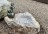 Froschkönig Leopold mit Granitbecken Wasserspeier Gartenbrunnen Komplettset