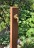 Zapfstelle Cordon 100 Original inkl. Wasserhahn Cortenstahl Wasserzapfstelle für Garten