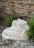 Quellstein Bachlauf Onyx Marmor L75cm Naturstein Gartenbrunnen Springbrunnen Set