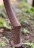 Gartentisch mit Steinplatte 120cm Naturstein Sandstein rot geschliffen/bossiert Gestell Eisen Edelrost
