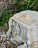 Quellstein Brunnen Onyx Marmor 40cm Gartenbrunnen Springbrunnen Komplettset