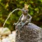 Bronzefigur Froschkönig Heiner 18cm Bronze Gartenfigur Wasserspeier Rottenecker